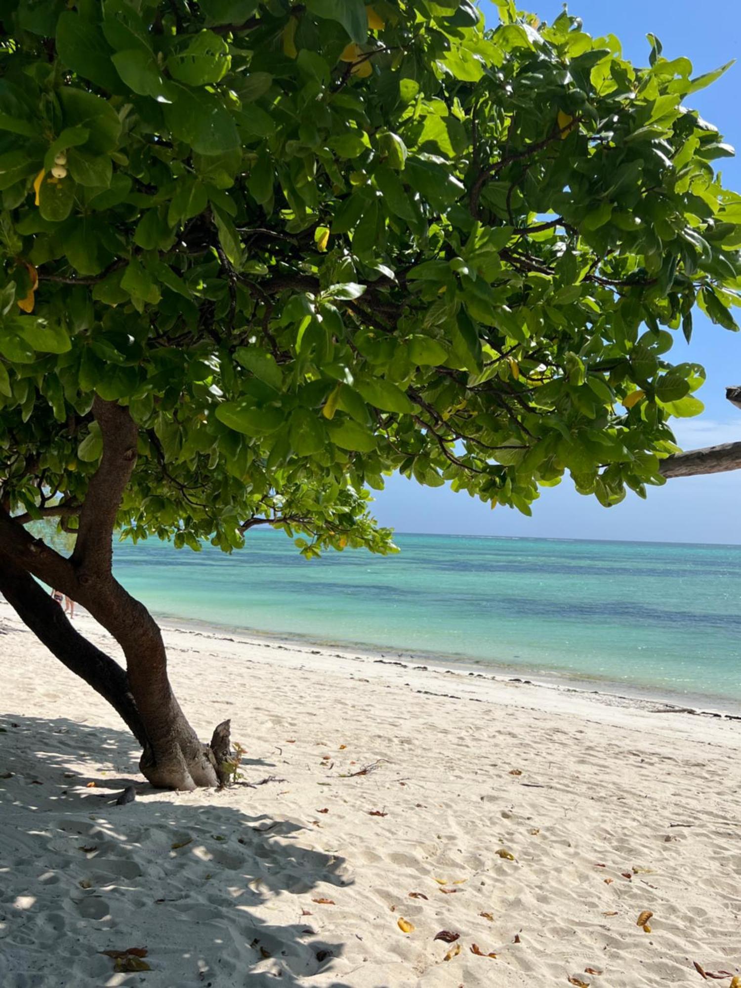 Ujamaa Beach Resort Makunduchi 외부 사진